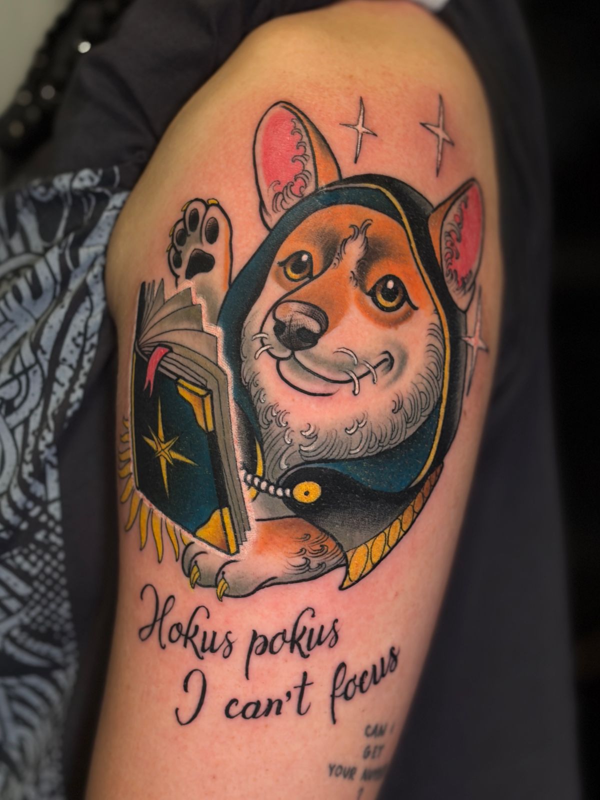 Corgi w kapturze z książką, neotrad